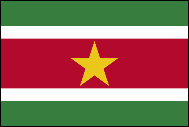 Flag Сурінам